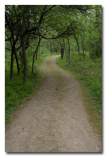 a scenic portion of of one of the park's walking trails -- click to enlarge