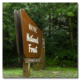 Passing the Wayne National Forest sign -- click to enlarge