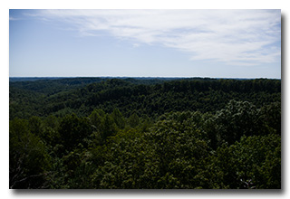 The view from atop the Copperhead Lookout Tower