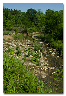 A pretty stream -- click to enlarge