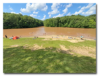 the swim-beach