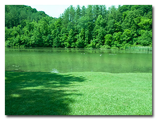 Dow Lake