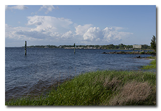 The Cape Fear River
