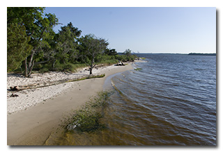 Cape Fear River