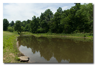 Chief Cornstalk Pond