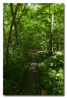 The Boardwalk Hiking Trail