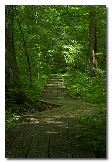 The Boardwalk Hiking Trail