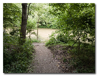 The trail leading to the canoe/kayak launch