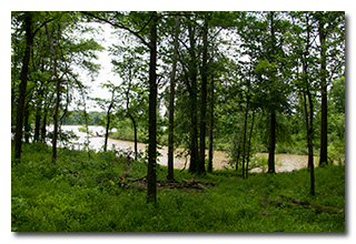 A glimpse of the lake -- click to enlarge