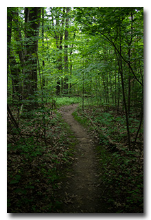 The trail -- click to enlarge