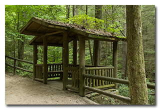 The third trail-shelter