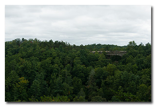 The natural bridge as viewed from Lookout Point