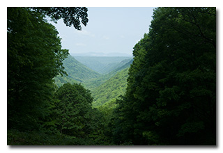 A view from on overlook