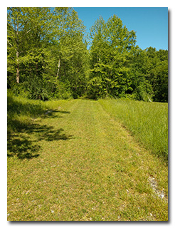 A grass-covered portion of the Moonville Rail Trail