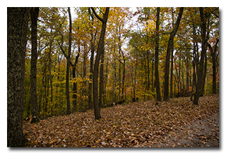 Fall colors -- click to enlarge