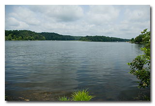 A view of Lake Logan