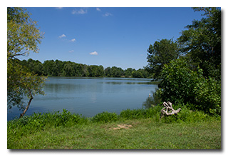 A view of Madison Lake