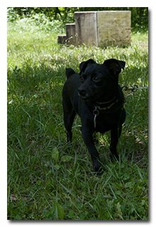 Theo -- click to enlarge