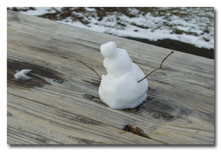 A Miniature Snowman