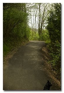 Blackhaw Trail