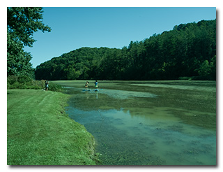 Paddle-boarders on Dow Lake