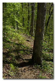 Hiking along the Lakeview Trail -- click to enlarge