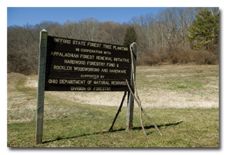 The tree-planting program sign -- click to enlarge