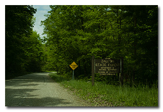 The State Forest Sign -- click to enlarge