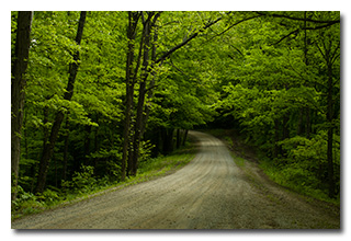 A view up the road from Eric's operating location -- click to enlarge