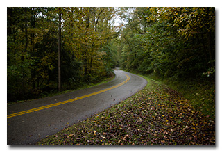 Color on Kanawha State Forest Drive -- click to enlarge