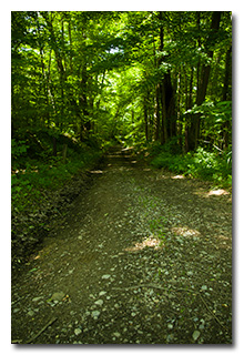 'The road not taken' -- click to enlarge