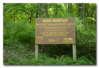 Beury Mountain WMA sign