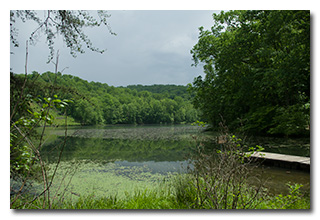 After the rain: Plum Orchard Lake