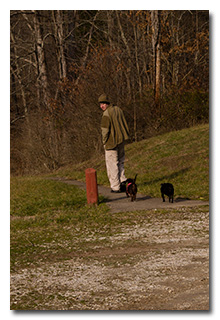 Miles, Theo-dog, and Mindy-dog-- click to enlarge