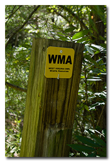 WMA trail-marker -- click to enlarge