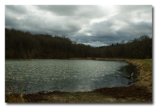 A view of the pond from Eric's operating location -- click to enlarge