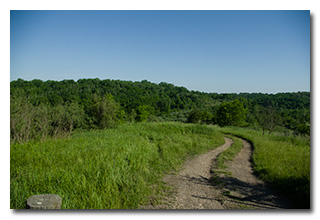 A view of the wildlife area -- click to enlarge