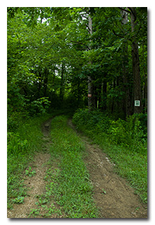 Trail 30 trailhead -- click to enlarge