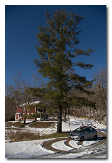 Eric's station under a tall pine tree -- click to enlarge