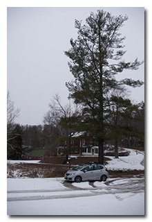 Eric's station under a tall pine tree -- click to enlarge