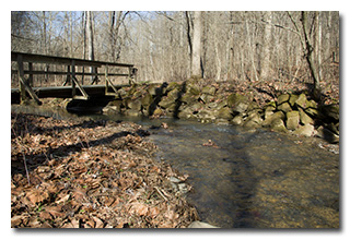 'Water Under the Bridge' on the Oak Ridge Trail