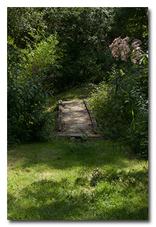 A footbridge over Margaret Creek -- click to enlarge
