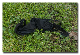 a discarded black bra