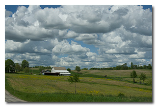 Puffy clouds over a farm as viewed from the wildlife area