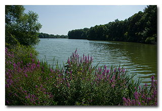 Spencer Lake