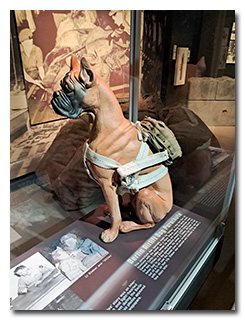 a display of a dog wearing a parachute