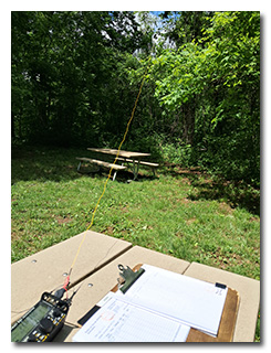 Eric's mast and antenna