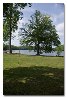 Eric's mast and antenna