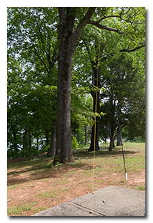 Eric's mast and antenna