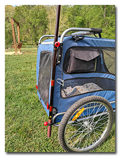 the mast bungied to the trailer